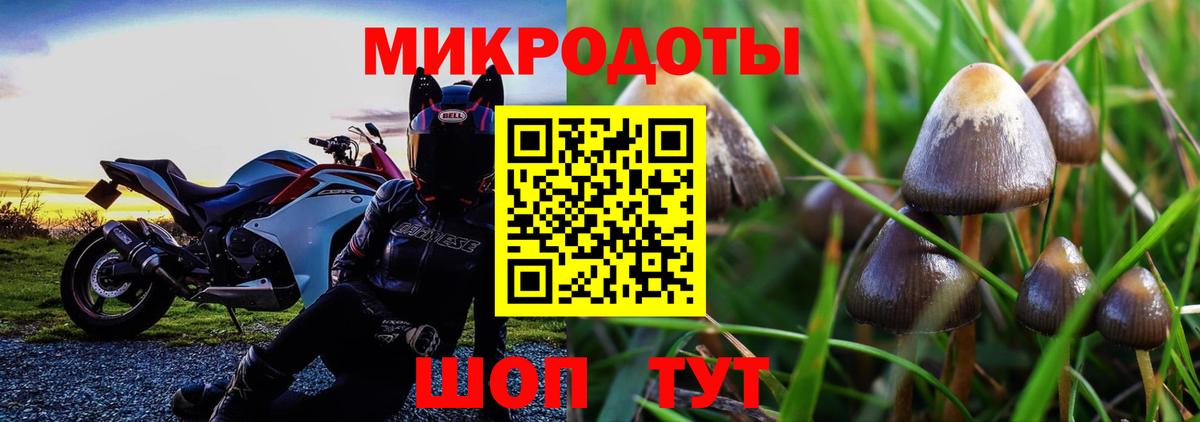 Балашов  Псилоцибиновые грибы мухоморы  Вход с VPN 
